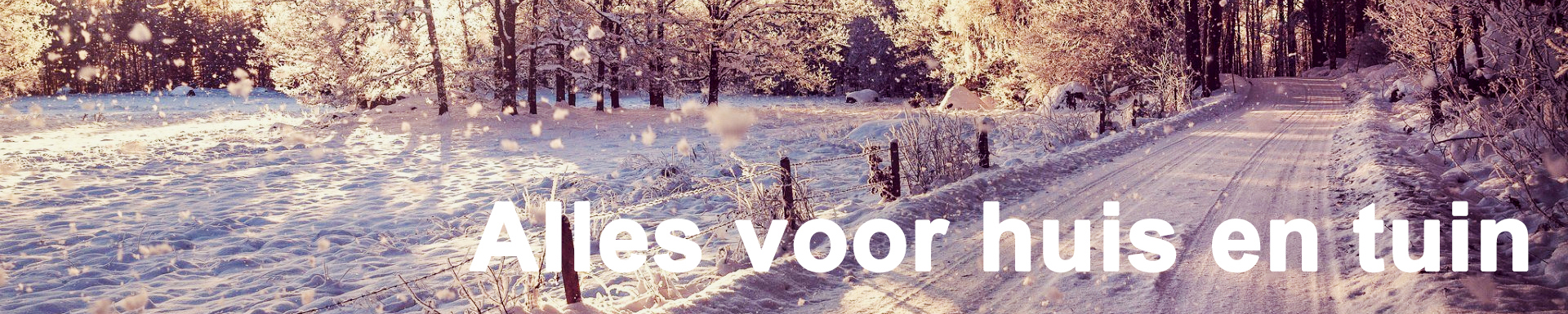 Tuin