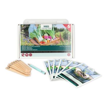 Buzzy® Collection 6 Groente van Oosterse oorsprong inhoud
