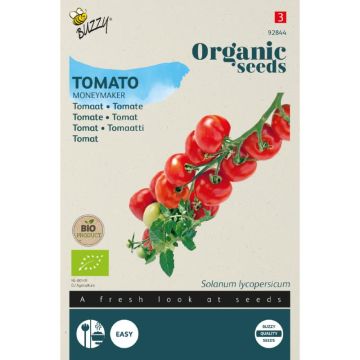 Buzzy® Organic Tomaat Moneymaker (BIO)
