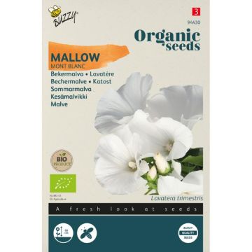 Buzzy Organic Lavatera Bekermalva Mont Blanc (BIO)