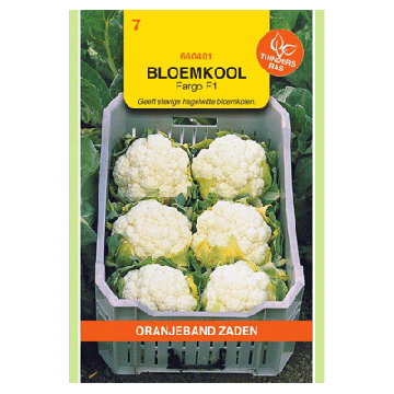 Oranjeband zaden Bloemkool Fargo F1