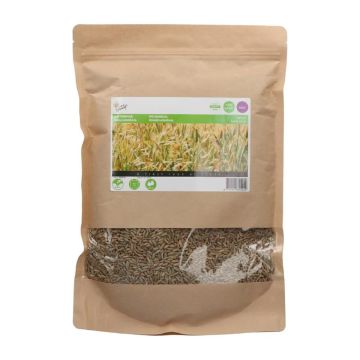 Buzzy Groenbemester Winterrogge 1 kg verpakking