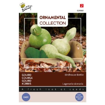 Buzzy Ornamental Gourd Birdhouse Bottle
