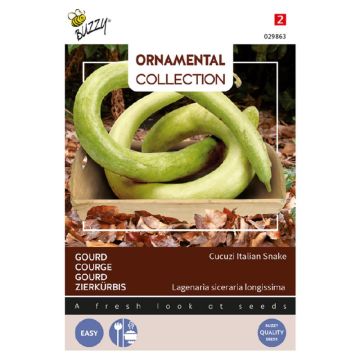 Buzzy Ornamental Gourd Cucuzi Italian Snake