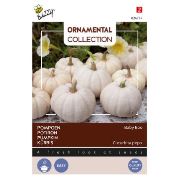 Buzzy Ornamental Pompoen Baby Boo