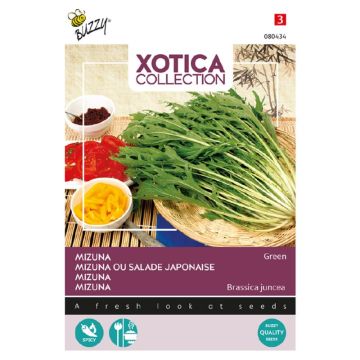 Buzzy Xotica Mizuna Japanse salade