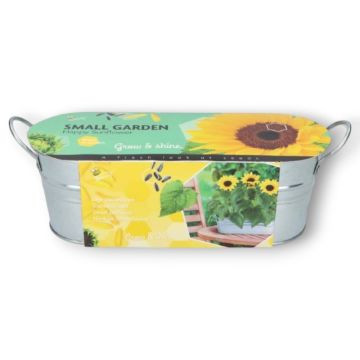 Buzzy® Zonnebloemen Kweekset in Zinken Teiltje - Happy Sunflower