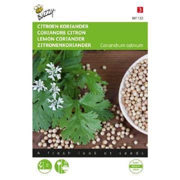 Buzzy Koriander Citroen laag