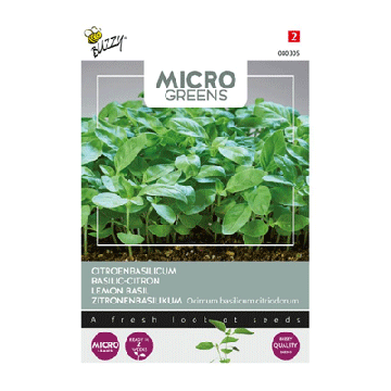 Buzzy micro greens citroenbasilicum