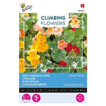 Buzzy® Climbing Flowers, Oost-indische kers, Jewel of Africa