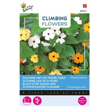 Buzzy® Climbing Flowers Thunbergia, Suzanne-met-mooie-ogen