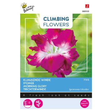 Buzzy® Climbing Flowers, Klimmende winde, roze