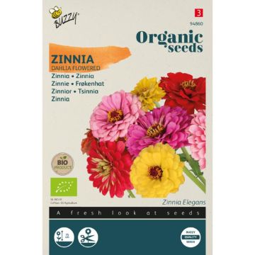 Buzzy® Organic Zinnia dubbele Dahliabloemige mix (BIO)