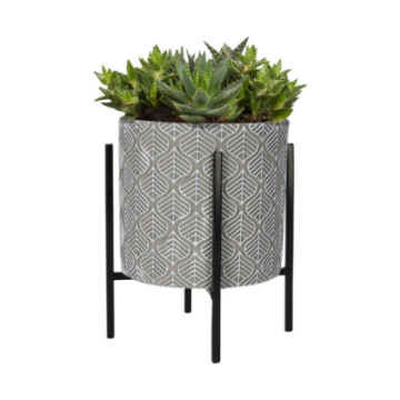 Buzzy® House Plants Plantpot in standaard met Aloe Vera zaden - pot