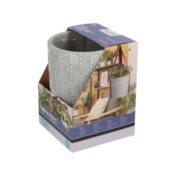 Buzzy® House Plants Plantpot set met Coleus zaden gedraaid