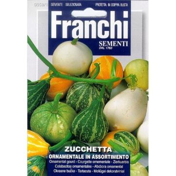Franchi Sierkalebas Zucchetta Ornamentale 359/1
