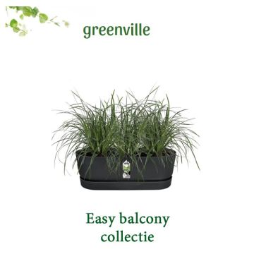 Elho greenville easy balcony collectie