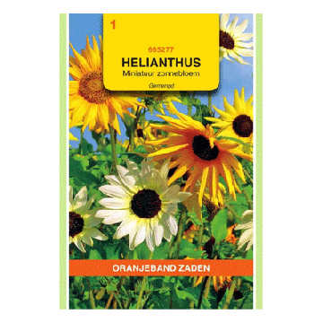 Oranjeband zaden Helianthus, miniatuur Zonnebloem gemengd