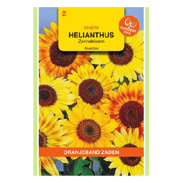Oranjeband zaden Helianthus, Zonnebloem Musicbox gemengd
