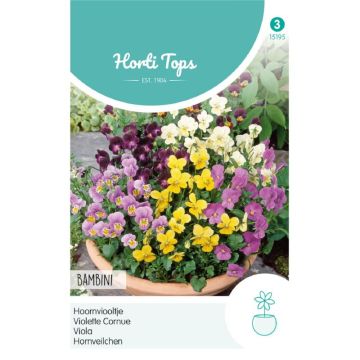 Horti Tops Viola, Hoornviooltje Bambini gemengd