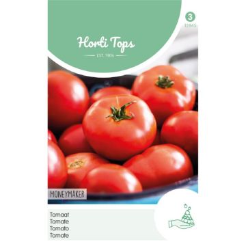 Horti Tops Tomaat Moneymaker