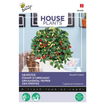 Buzzy® House Plants Sierpeper, Dwarf mixed