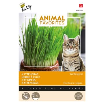 Buzzy® Animal Favorites Kattengras