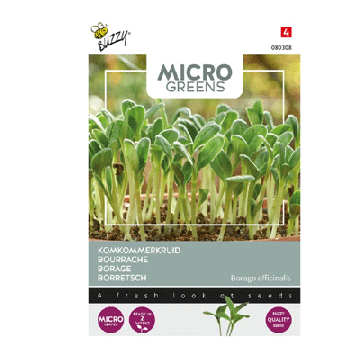buzzy microgreens komkommerkruid borago