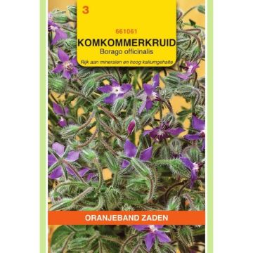 Oranjeband Komkommerkruid borago officinalis