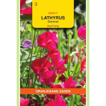 OBZ Lathyrus, Reuk- of siererwt Royal, rood