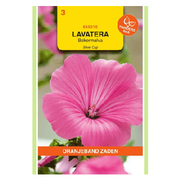 Oranjeband zaden Lavatera, Bekermalva Silver Cup