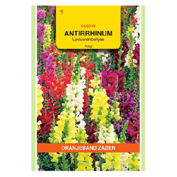 Oranjeband zaden Antirrhinum, Leeuwenbekje, hoog gemengd