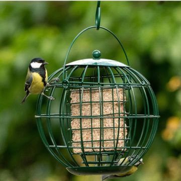 london vetblokhouder met beschermkooi in de tuin