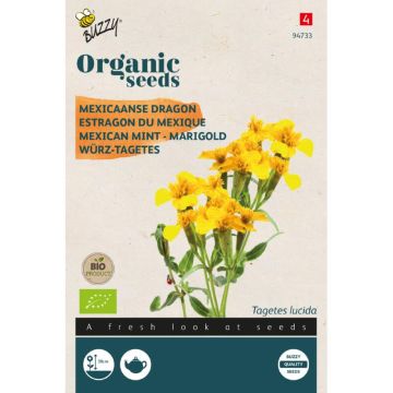 Buzzy® Organic Tagetes Lucida, Mexicaanse dragon (BIO)