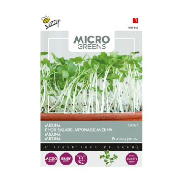 Buzzy microgreens Mizuna