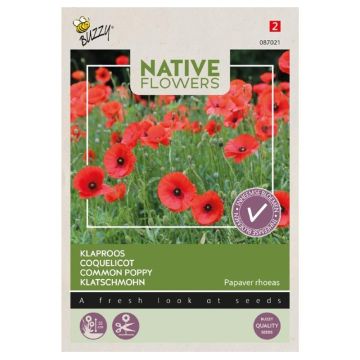 Buzzy Native Flowers, Klaproos