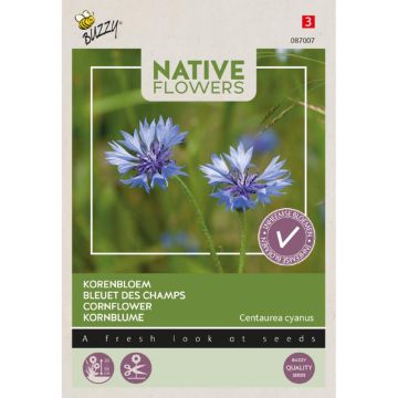 Buzzy® Native Flowers, Korenbloem