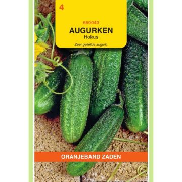 oranjeband-augurken-hokus