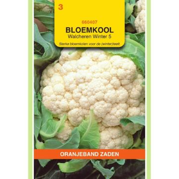 oranjeband-bloemkool-walcheren-winter-5