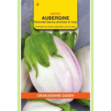 Oranjeband Aubergine Rotonda bianca sfumata di rosa