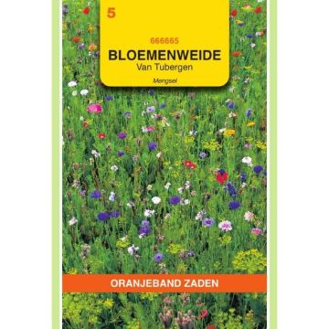 Oranjeband Bloemenweide mengsel Van Tubergen