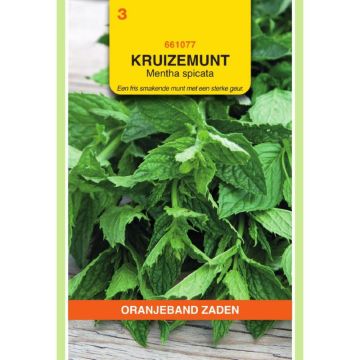 Oranjeband Kruizemunt