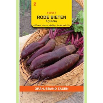Oranjeband Rode Bieten Cylindra