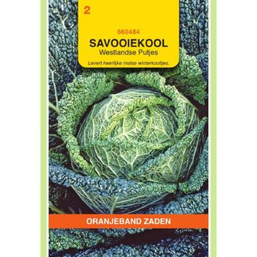 Oranjeband Savooiekool Westlandse Putjes