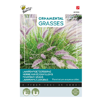 Buzzy® Ornamental Grasses, Lampenpoetsersgras