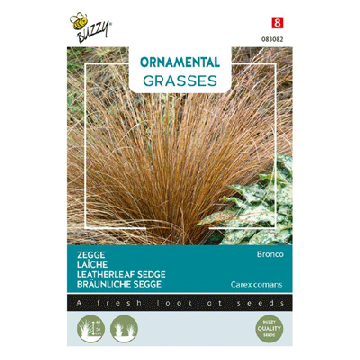 Buzzy® Ornamental Grasses, Zegge 'Bronco'