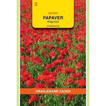 Oranjeband Papaver, Klaproos enkelbloemig (gewone)