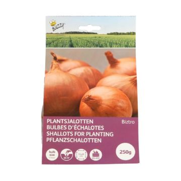 plantsjalotten-biztro-met-capper-250g