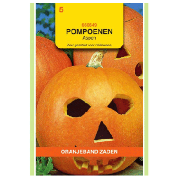 Oranjeband zaden Pompoen Aspen