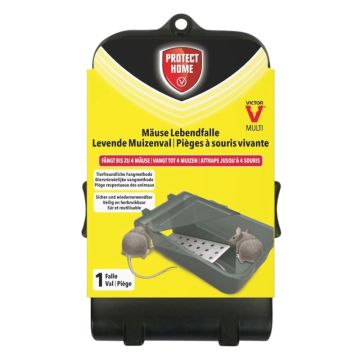 Protect Home Muizenval Catch & Hold kunststof - tegen muizen